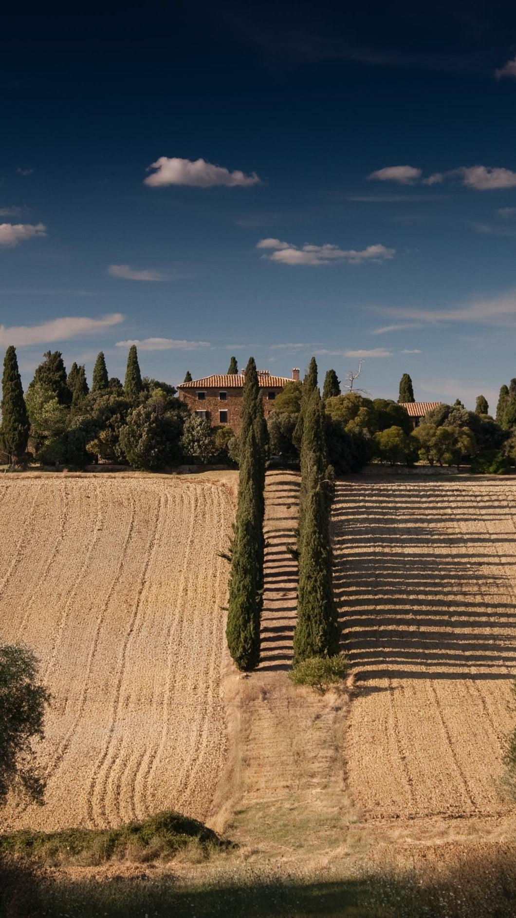 da0bbc106d371804d00bf01b2f36aa3324ebebd2