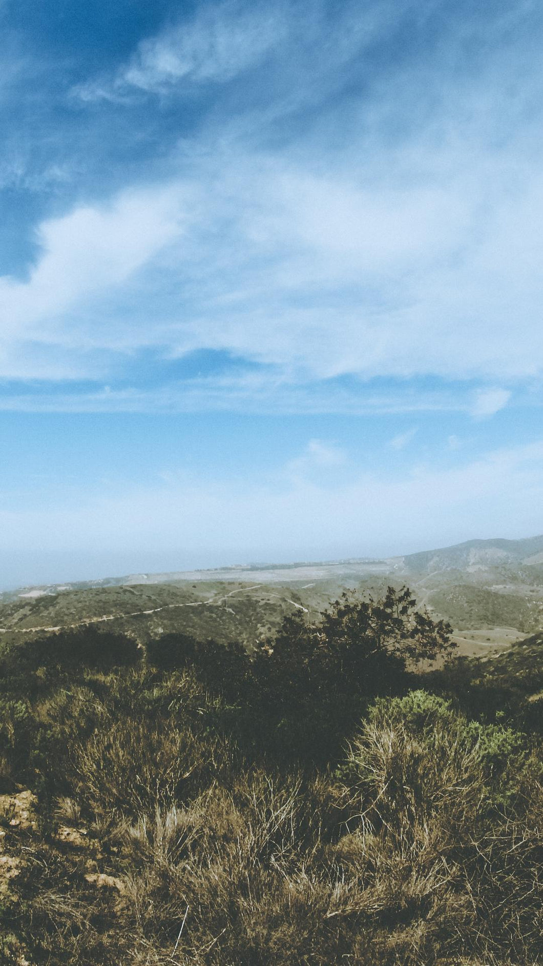 62416fb80f2787bb0f2f6e408b98de0562e8f992