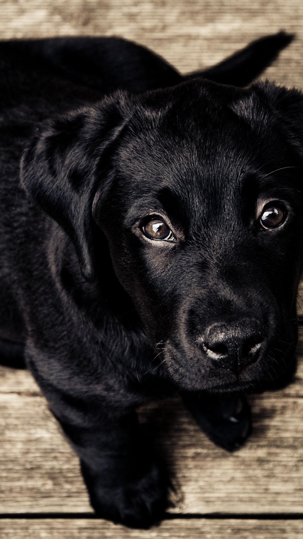 9445b8cb33da4ef316dffa60989cd30adc8c3c2a