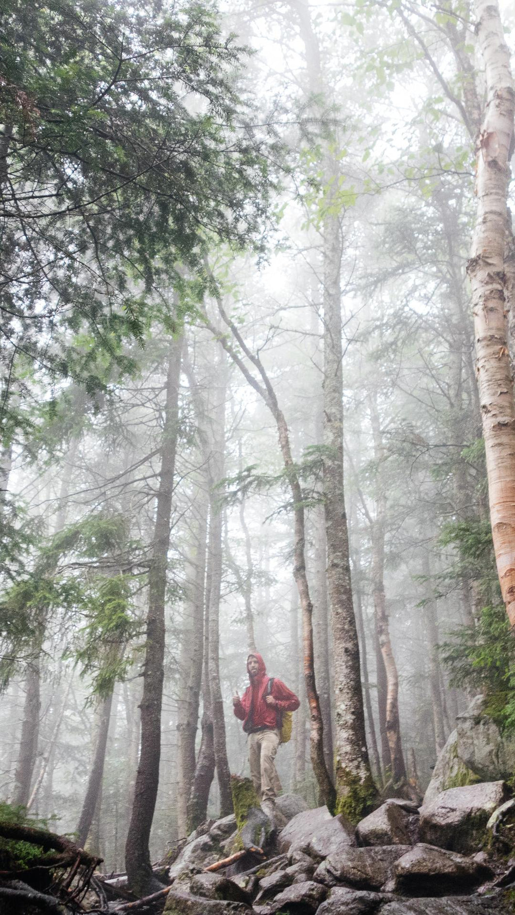 fd074d163528994bc261a7e9d6c56548db208eba