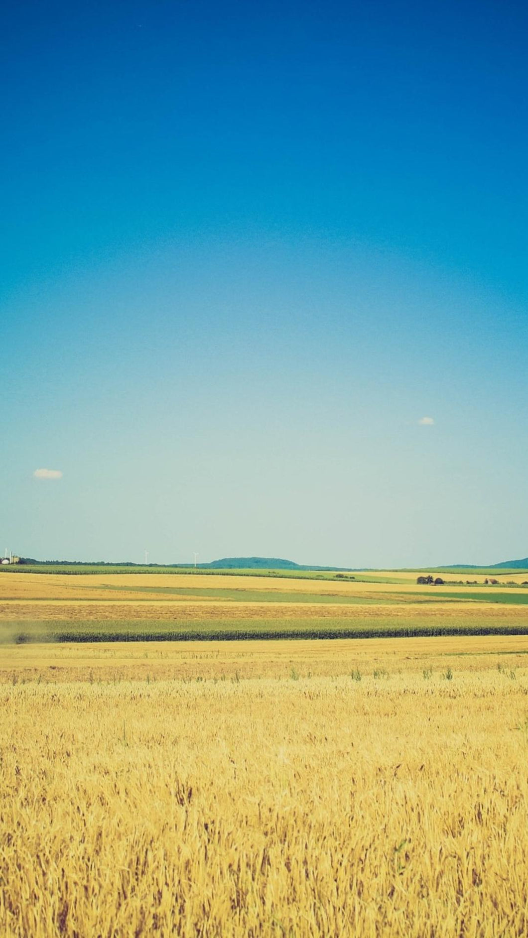 4259f558d2d5c1582a59c129530f5d4f0fb220aa