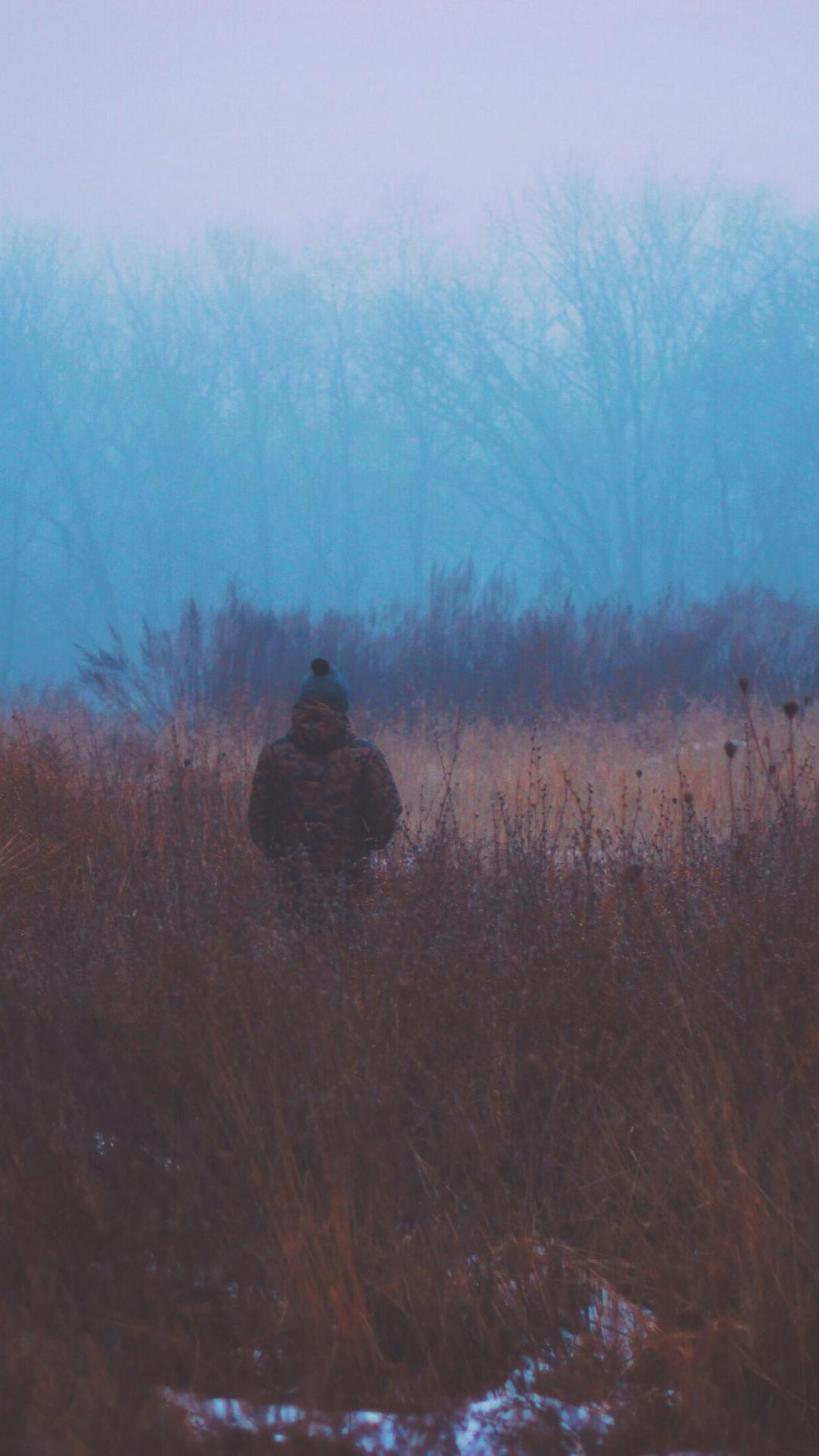 7f46a31d31a252d3620b8ff103a0a4415506bb12