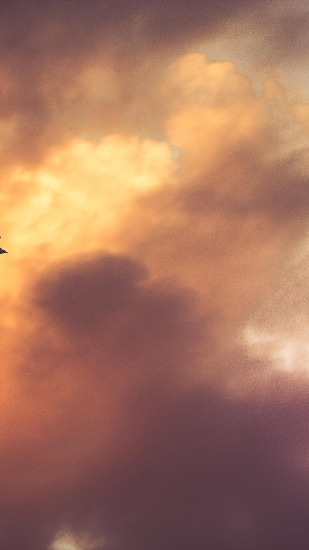 7252419c2a7860b937ac8849bb95c21446060c05