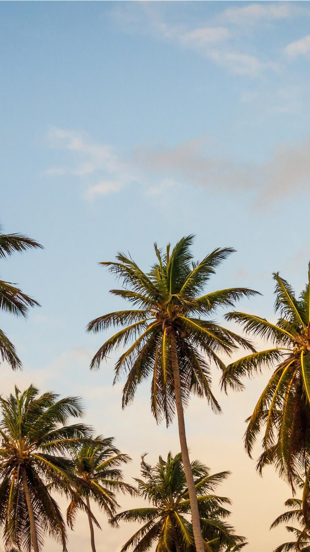 2c7c9b58985bd43efaeda427e625450dc4c23e91