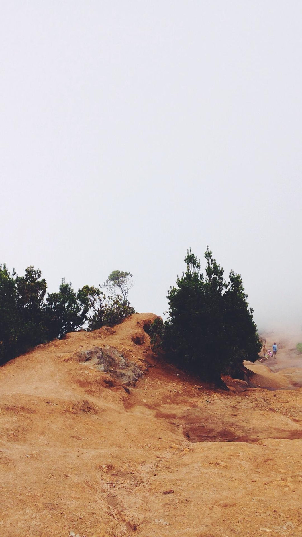 b405d03e58d9ace92321920b661bf0c903ceb947