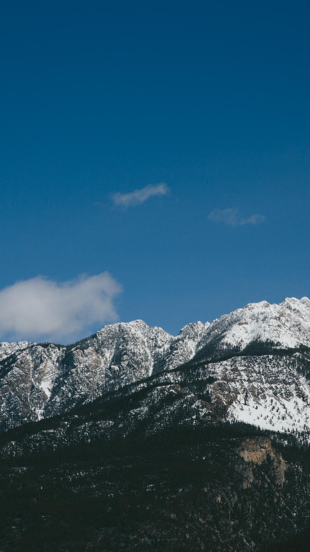 235dab80491cb64e805b09588dc8379d29e5a437