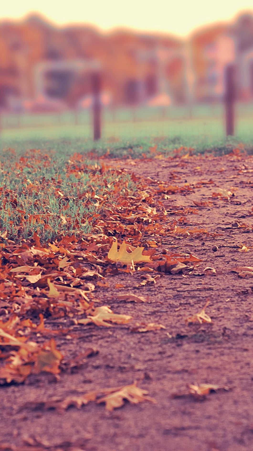 fa24dacc9b786bc394f8c2fa669c60b67f6a94af