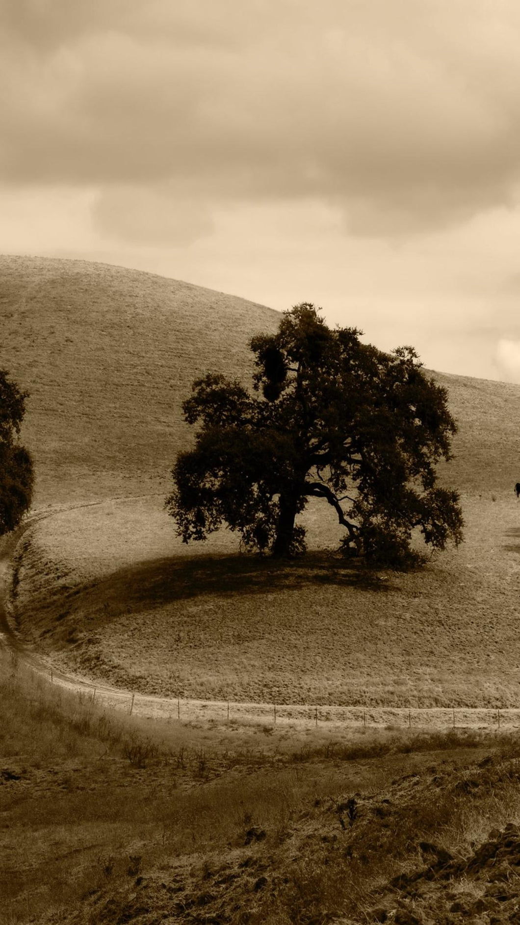 8e0c7b098b8b890f7f0e3ef8ffd8763e859c6f8d