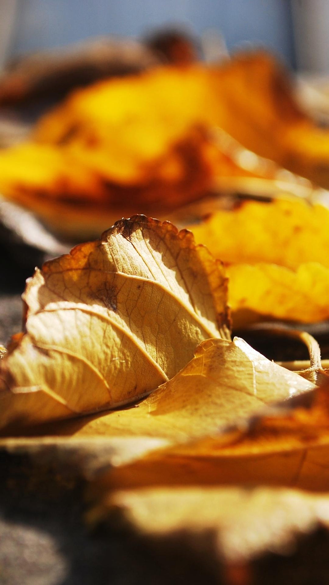 609a4da9da84436a283488ff24660028e84ba060