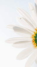 Load image into Gallery viewer, 5815e2caa2c552c910a854d50f93d046d9b7b2a3
