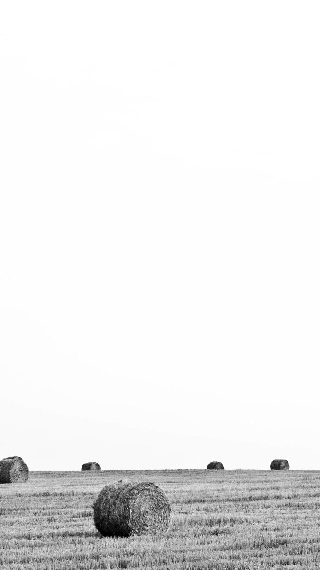 ae8efac324560d51dd3a6523b00ed17e97e5ed49