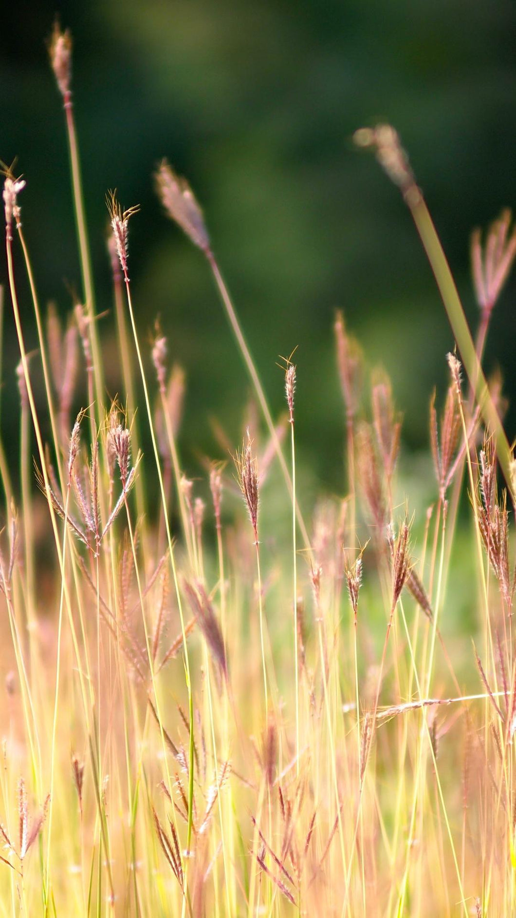 848eaec24a1335ad4d3d65e011a47577e3e55b5e