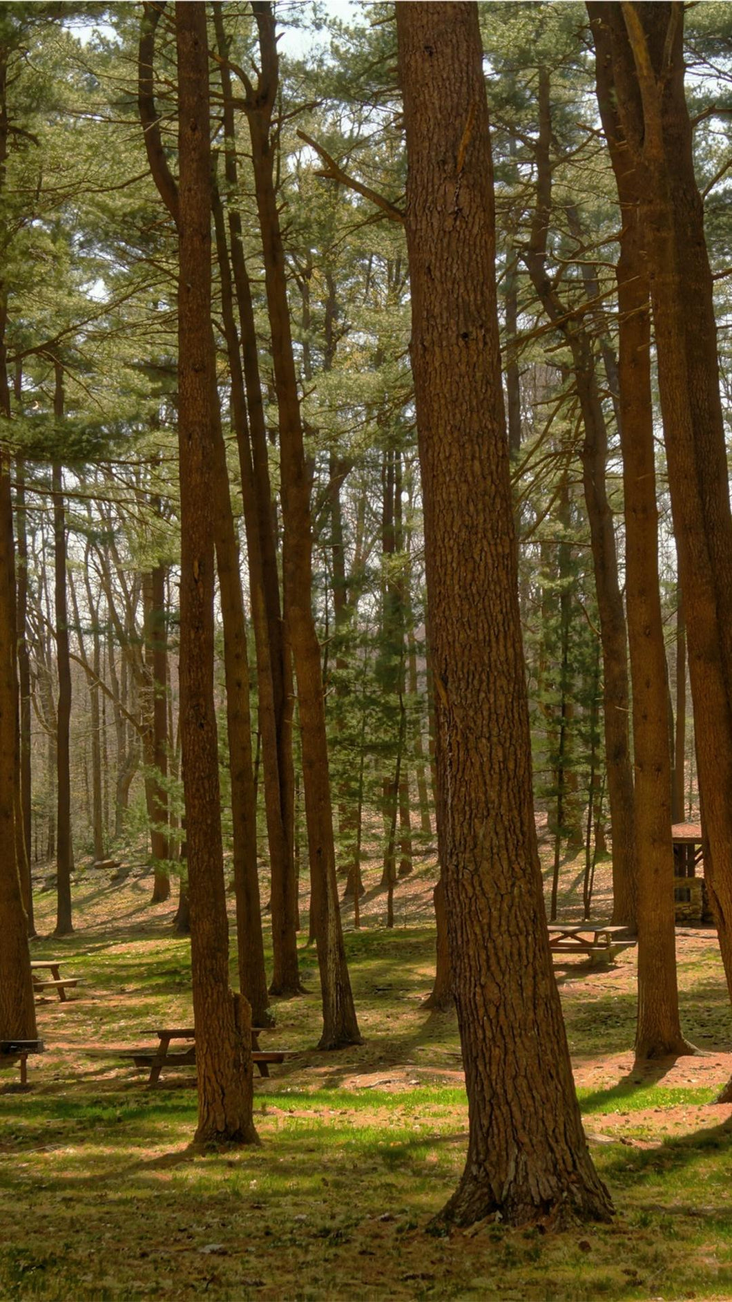 ec69f0973138c84aaab073ac19b73e2059faf2cf