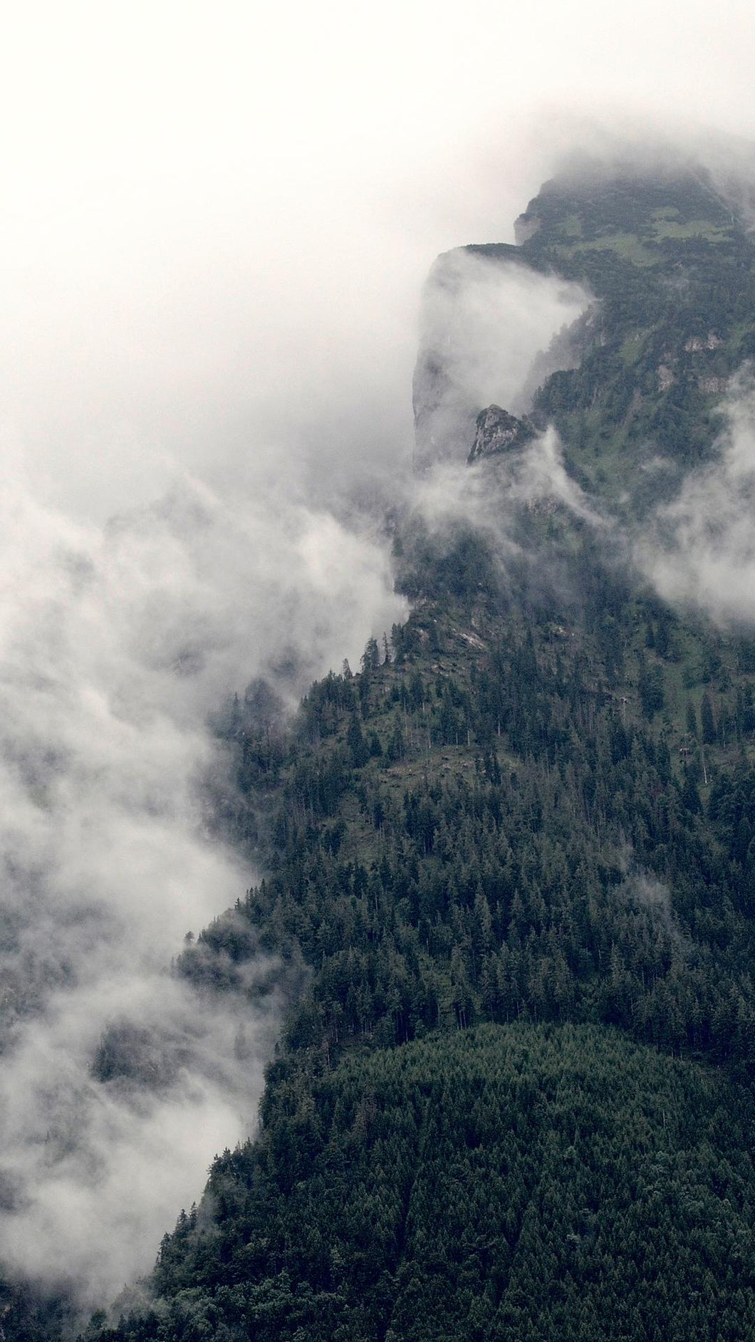 1fa3585370b1d12240667223d837d707f566d6c2