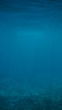 Load image into Gallery viewer, 760081413e42a2525690218dec5ffb24f58cc59b
