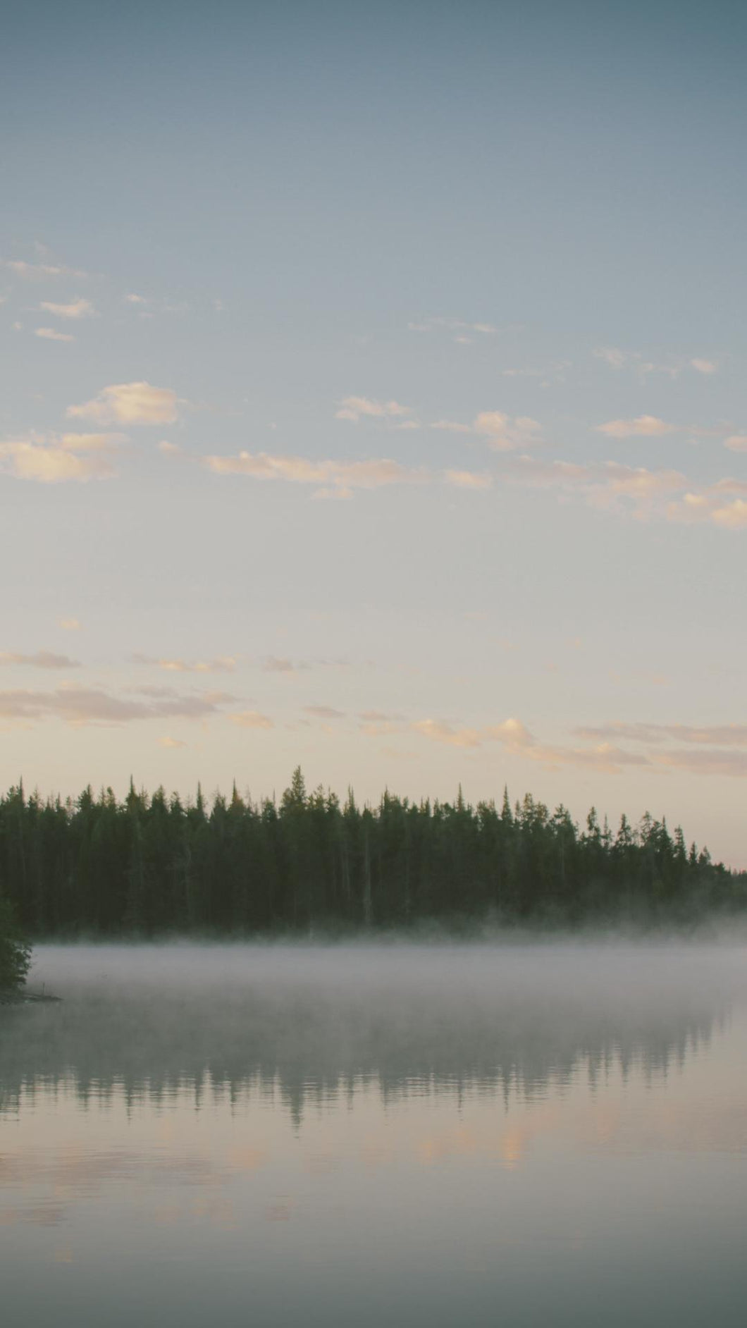 6f8654918c69dae5d17f775c8aedeeeefe3225de