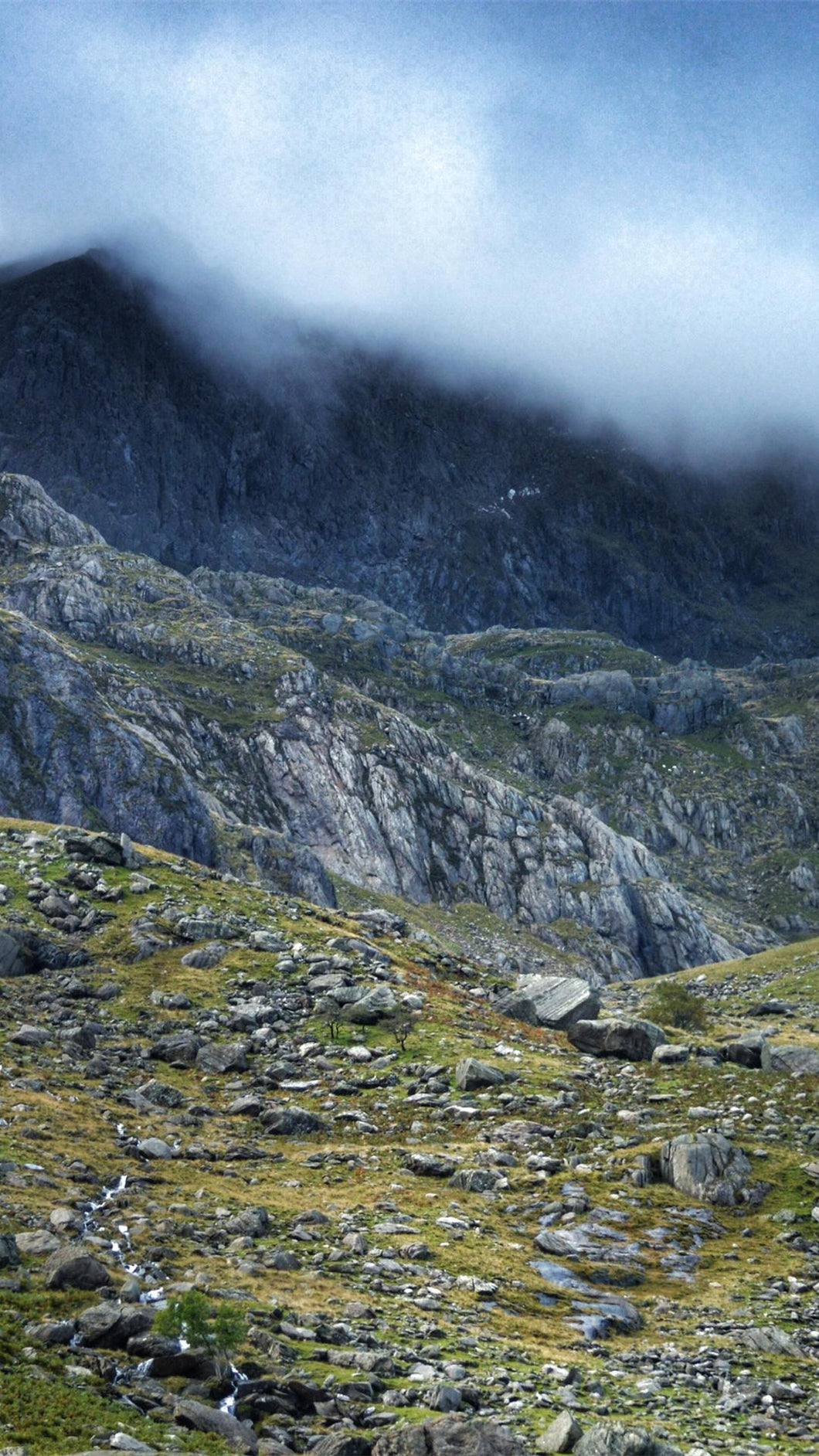 da695547ad8083e5be7f6d08b4a5dc07cc979bd0