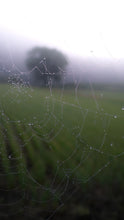 Load image into Gallery viewer, 811c9a0a509e27780bb4781c0ea8b61b19cc708e
