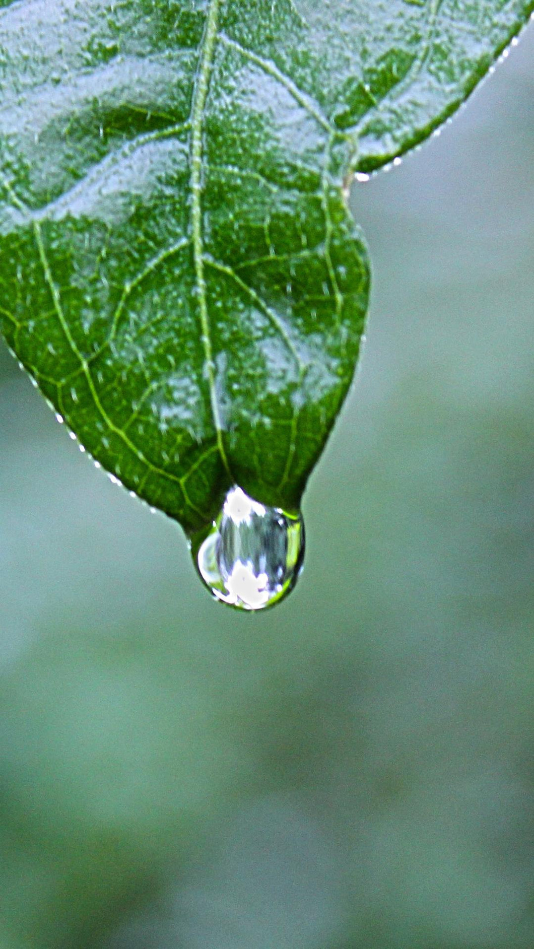 9fff15f22044baa9245b18110f7b42de35a220a7