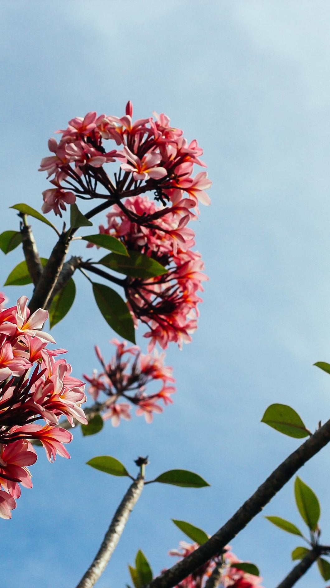 af713ccadb7901714918616eb2fce3dd1f19c6ef