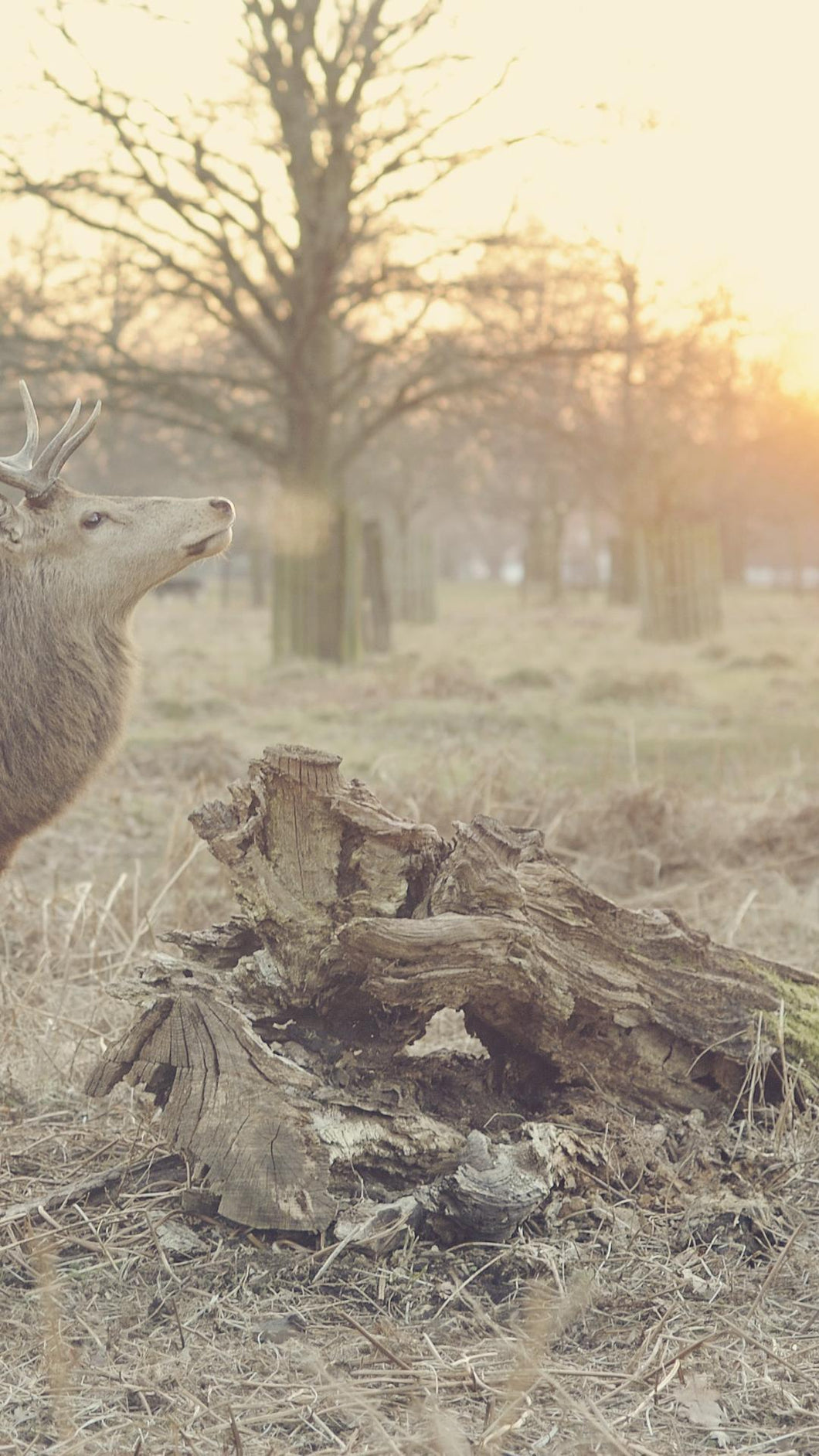 3f3994a1088ca0a9b92e1e6e4ccf96980d0e8c9d