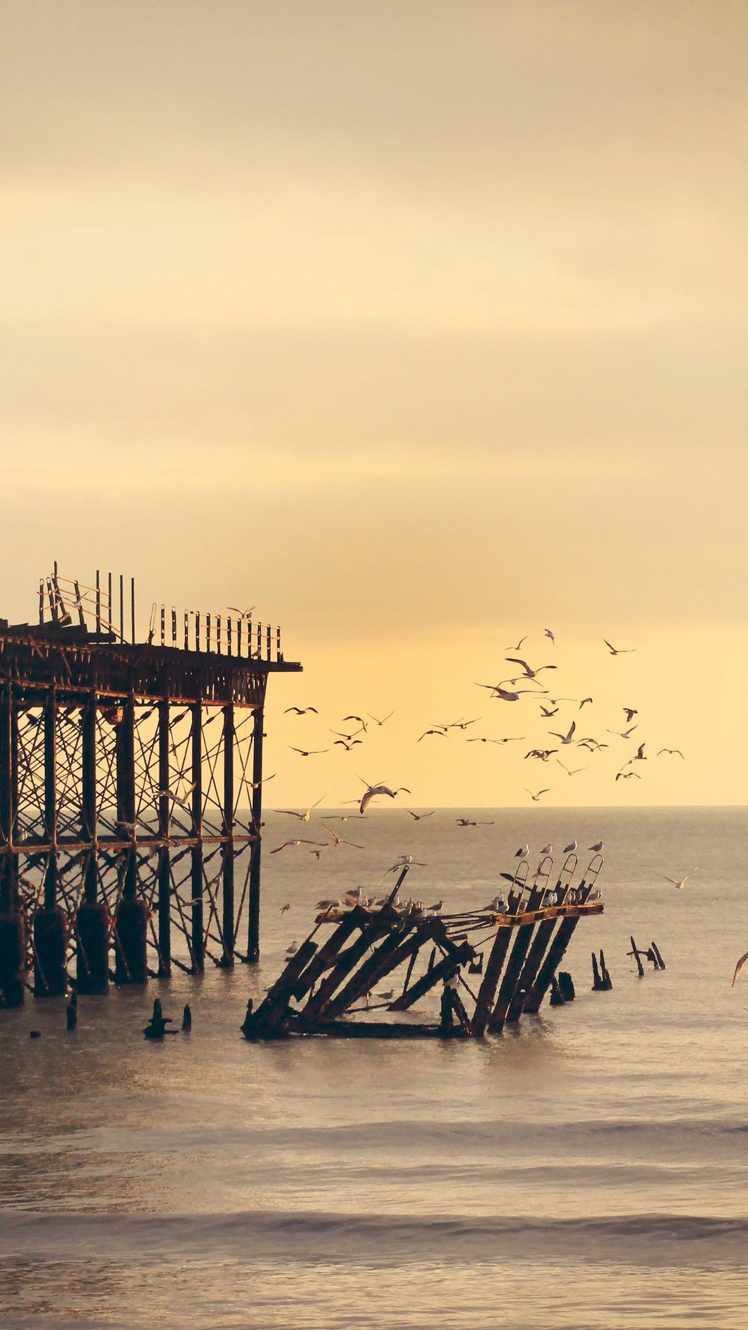 f7710ff7a12fd88ea305edf1ef9417c0baf19702