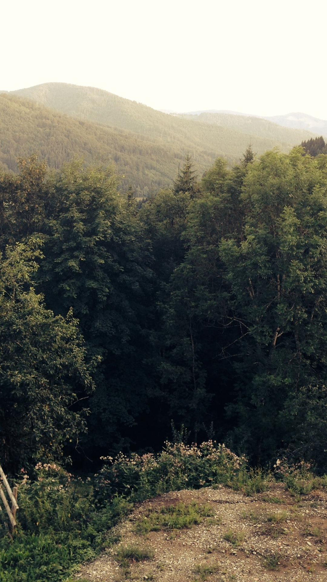 17564b957dc873da5e05d28681b6ec7644b26e79