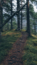 Load image into Gallery viewer, 64570e3e2f2821a22e45f2cda3e20ad75c8b8c9b
