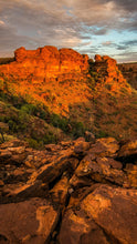 Load image into Gallery viewer, 9741e8095ae37955a0efeb6429c0bd13f4a2d1b7
