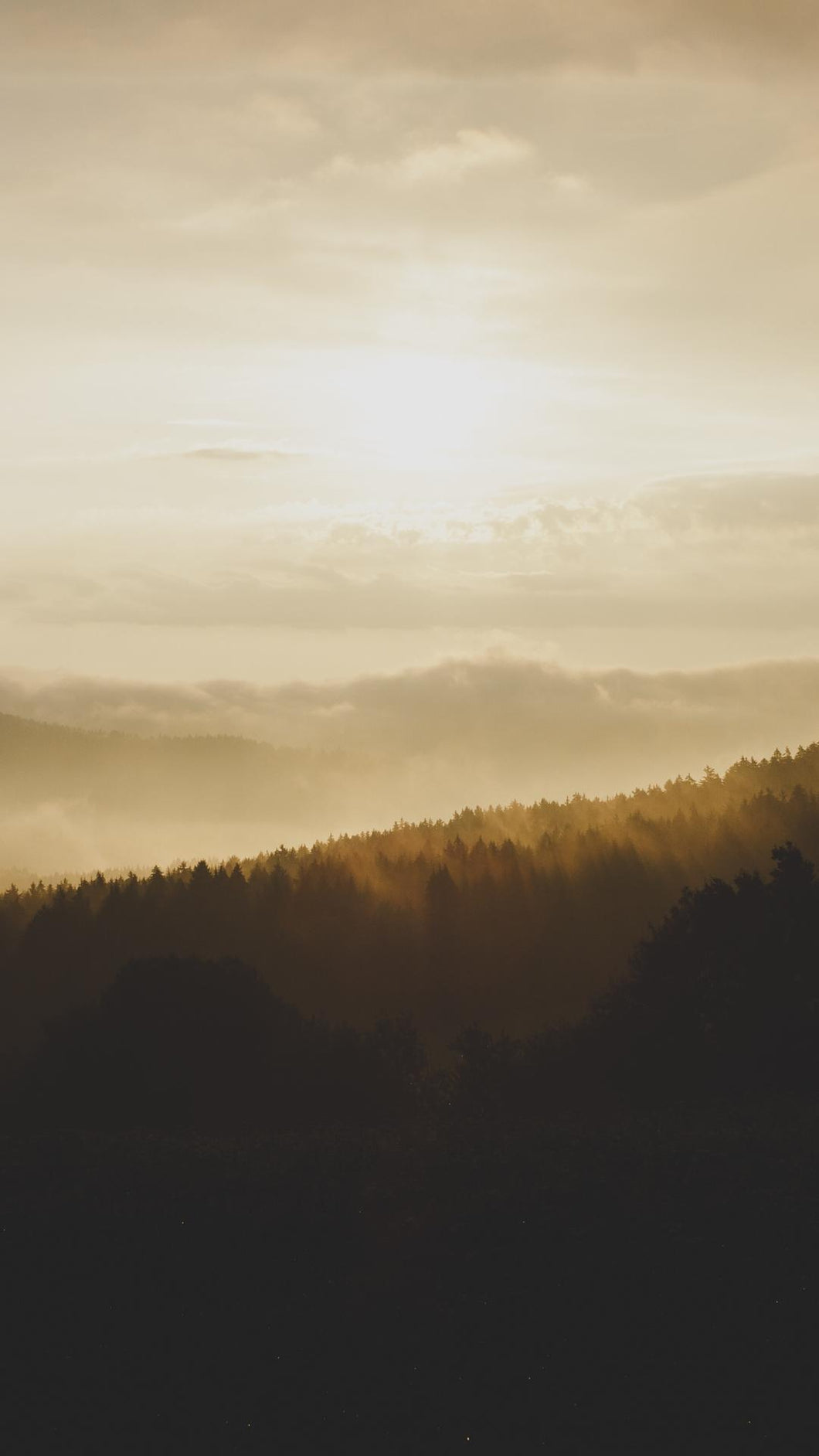 f3624388bc1cd114df945410a264d8ae16ac026a