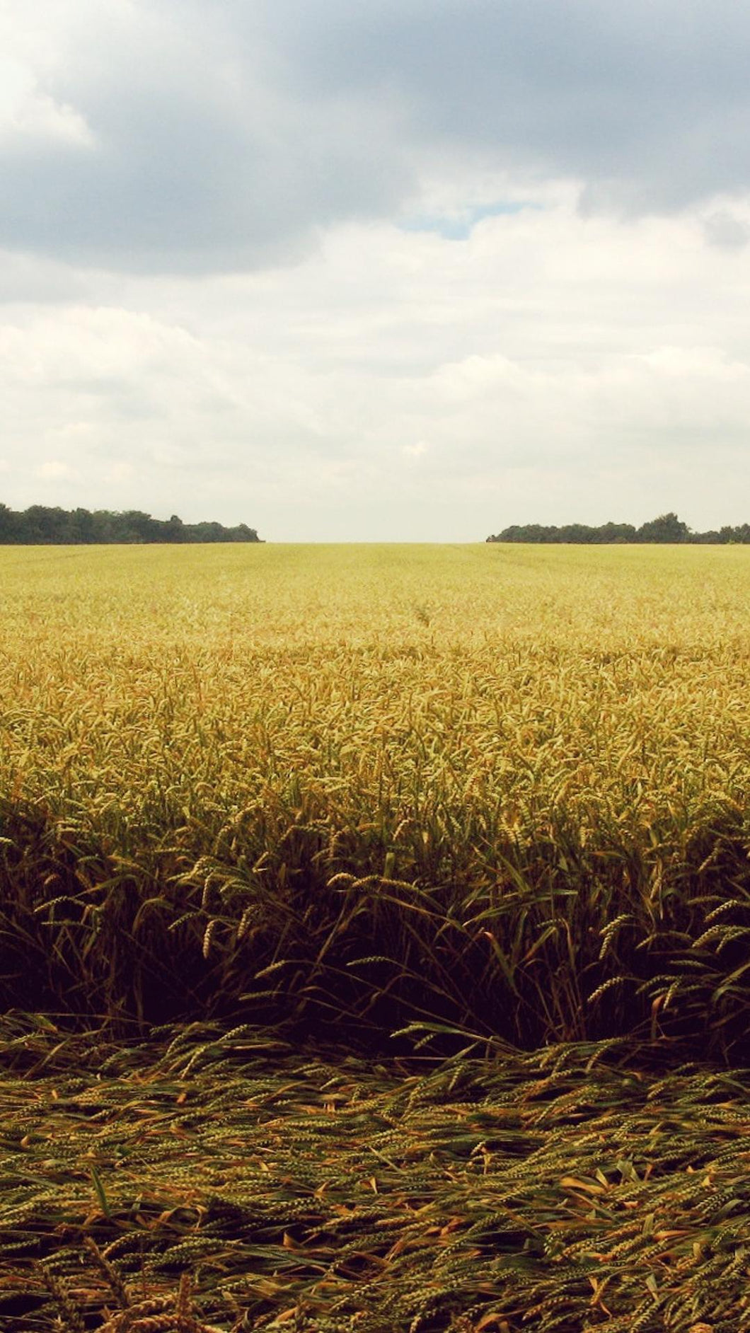 191cd832f3e918934e4e93bb814f02c8abb3c827