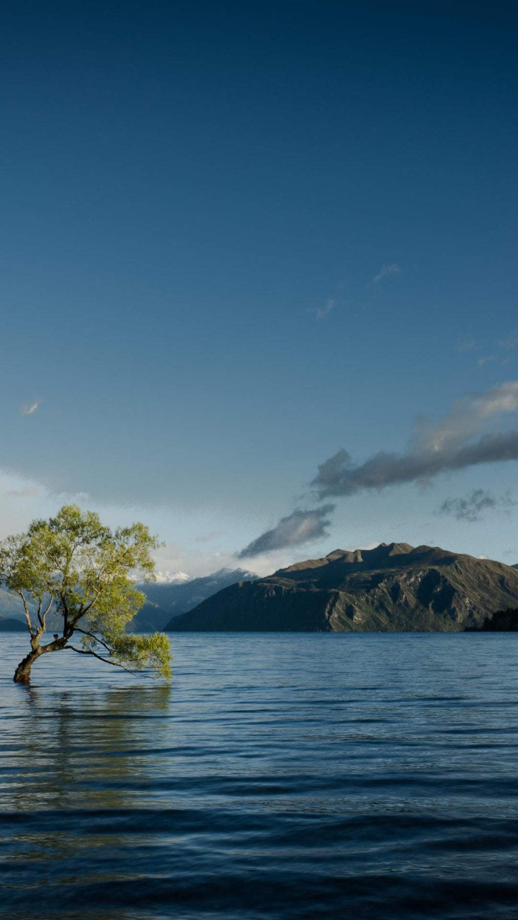 11616621aa909260cea9a0fc3d0c4b0255d4c989