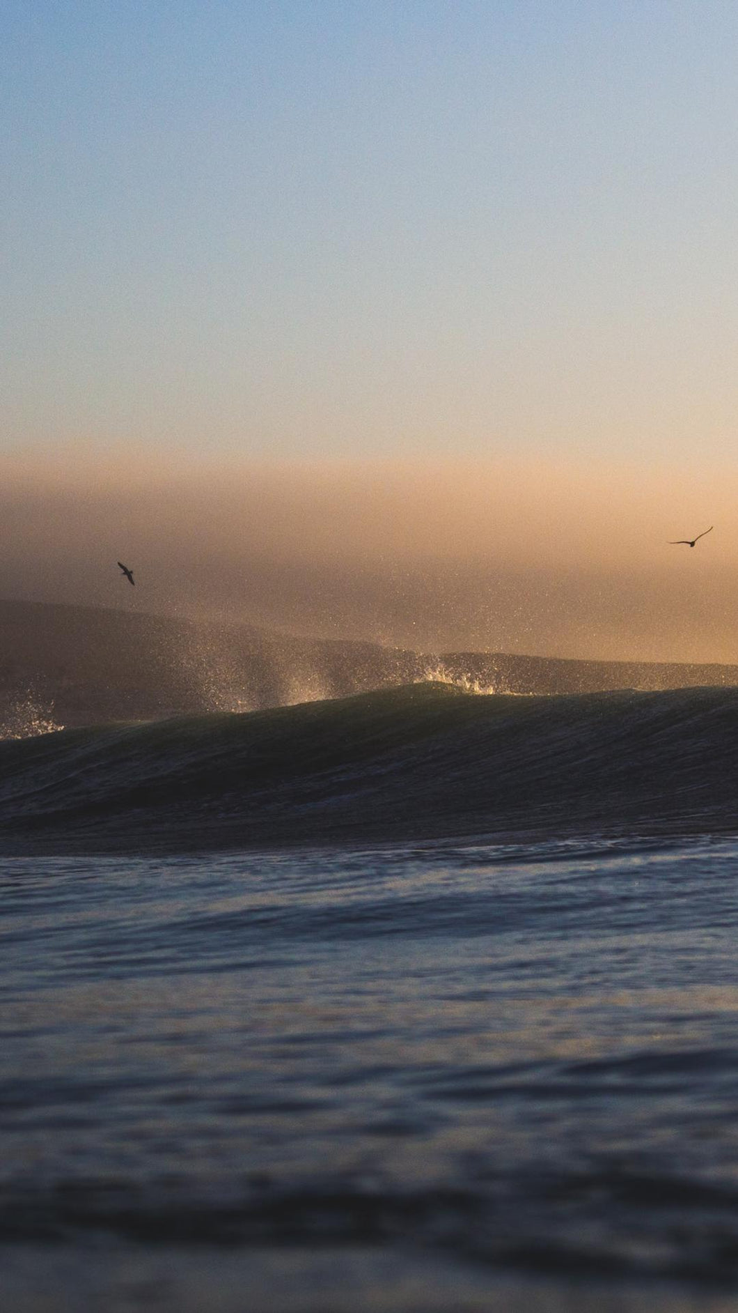 d8d81dc4bbbb9558a785ae375ee8bc920ae9ac70