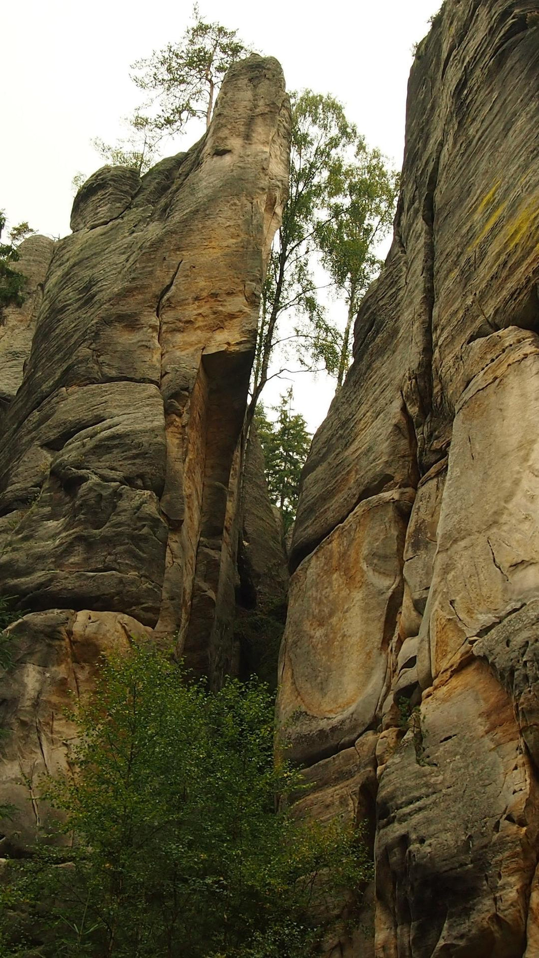 60bf7388cc1bdb5d4bcb5a913f23137b106f0f90