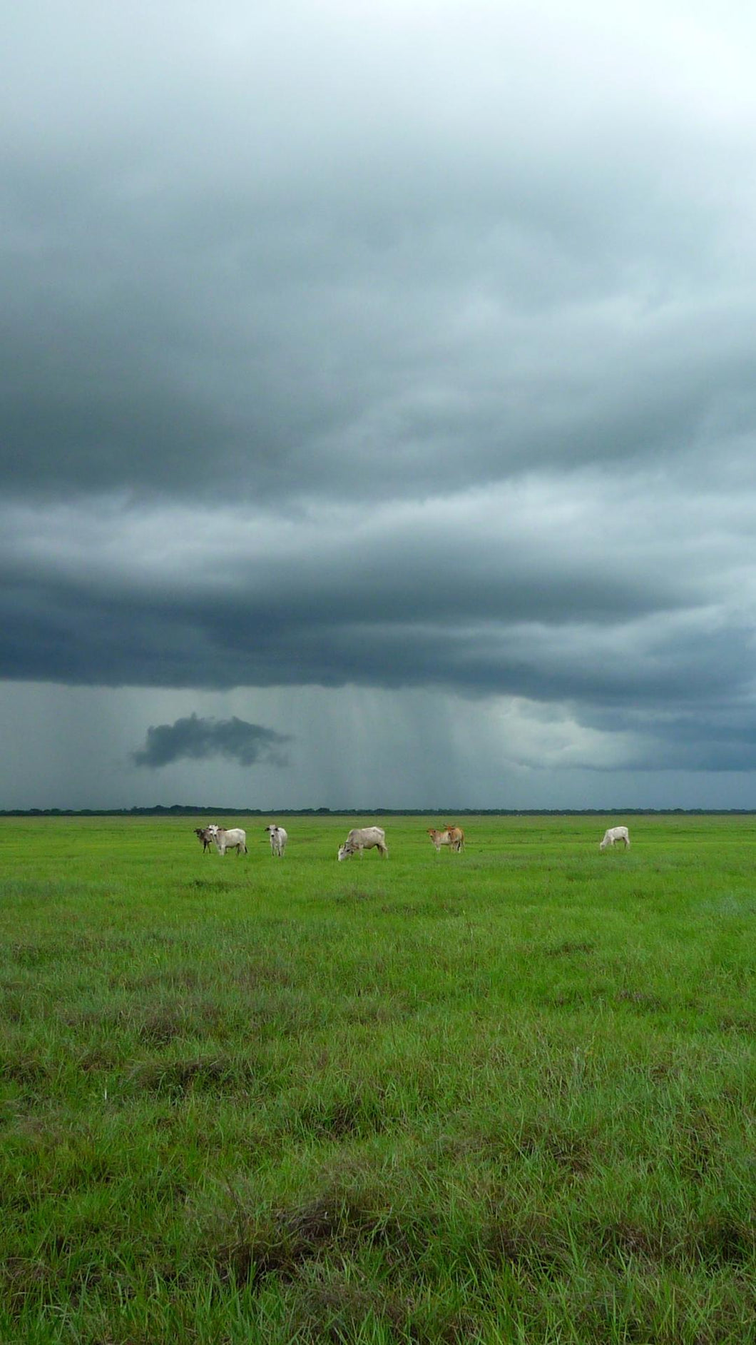 04a4fdd736333fadd044cd2b2f807c9b5aeb642f