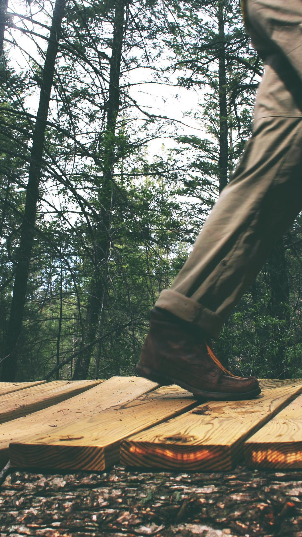 8aef1b12dddb2b8713c6468eee2c5ba9485fdccf