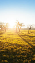 Load image into Gallery viewer, de8d78691be76e5bb1f73c723e46e78d3971dfe6
