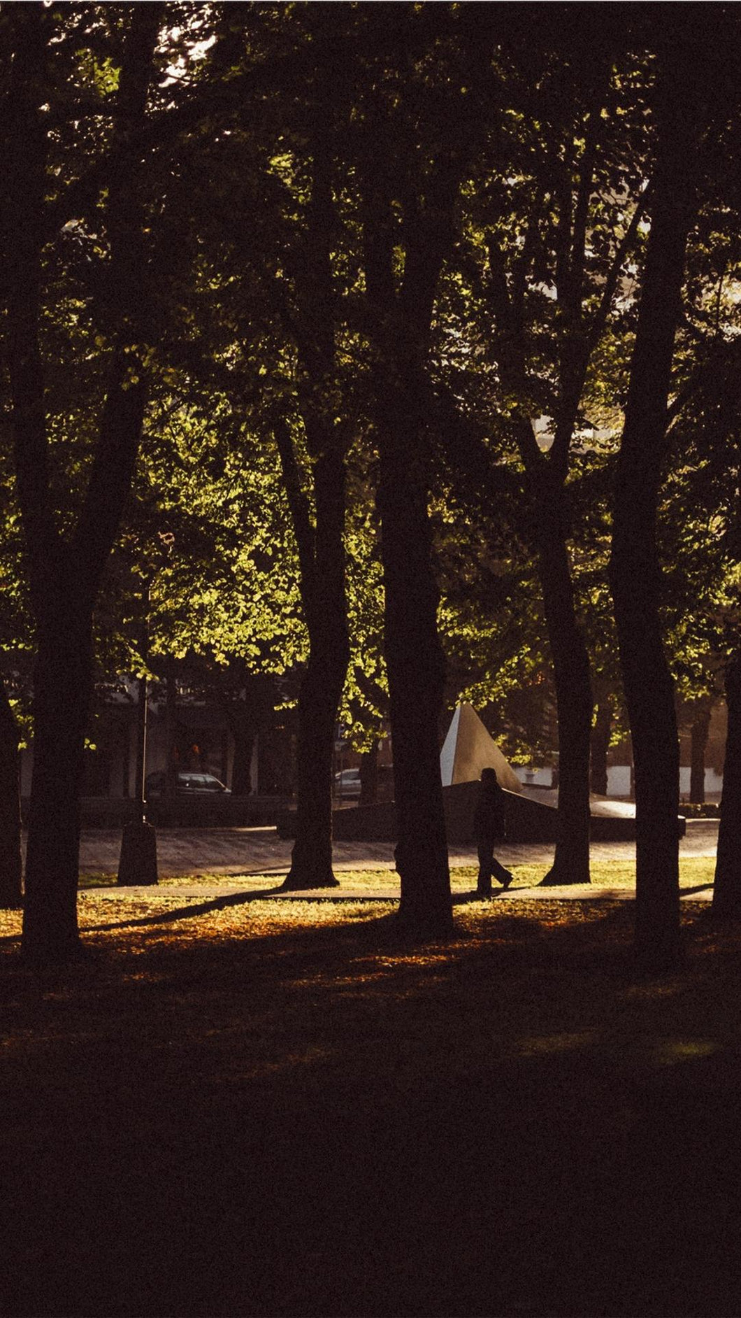 2e62d33691cb46013803713c040539d002b26e91