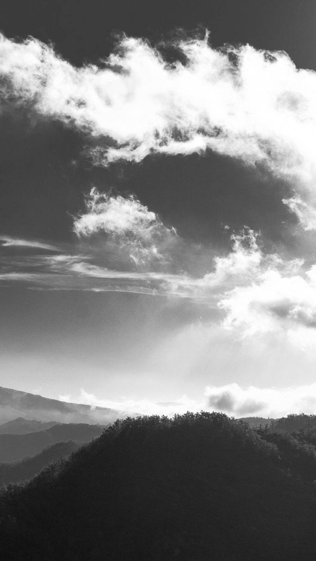 9ba87d251416ba6cad3865539519986cf1103fad