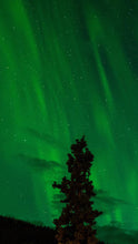 Load image into Gallery viewer, 72ec7ea9837ab7bec9f14a1a2aea73162a9f9ecb
