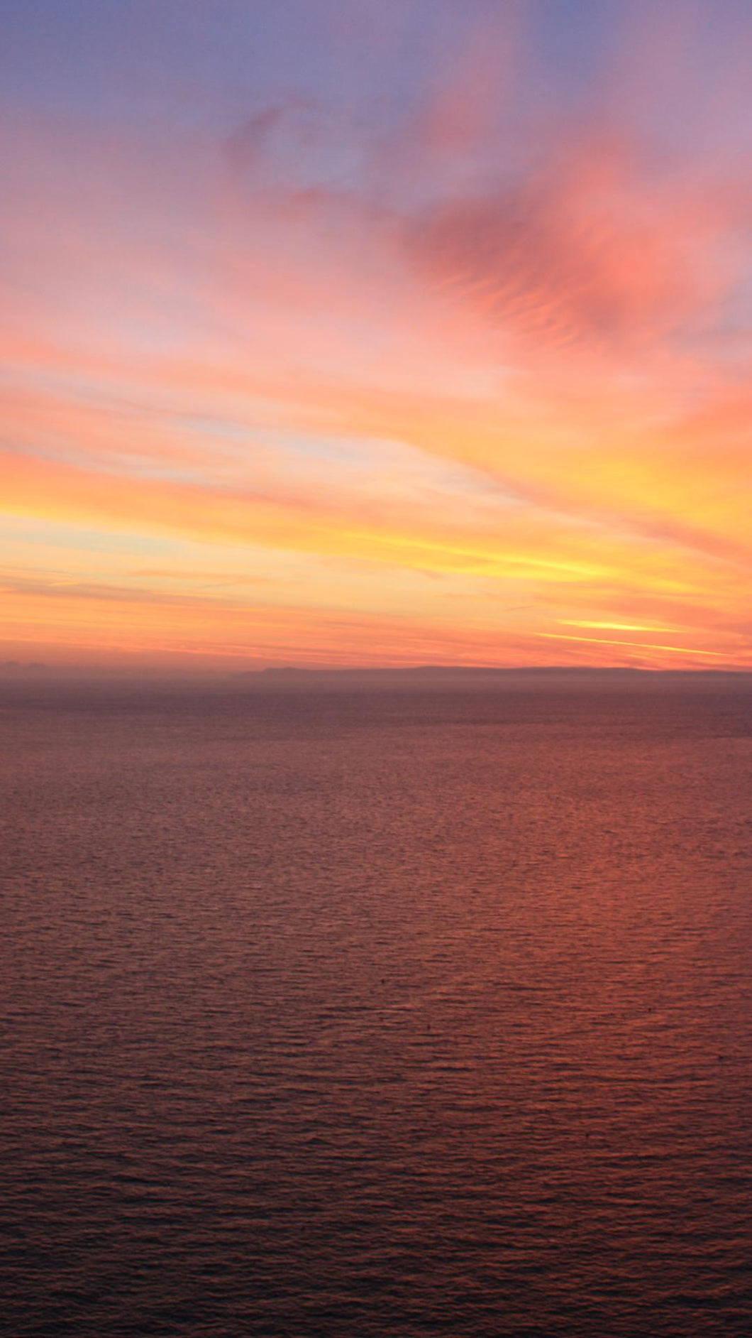 d295e1bd566cc22df6229b164ebb5492f4198fb8