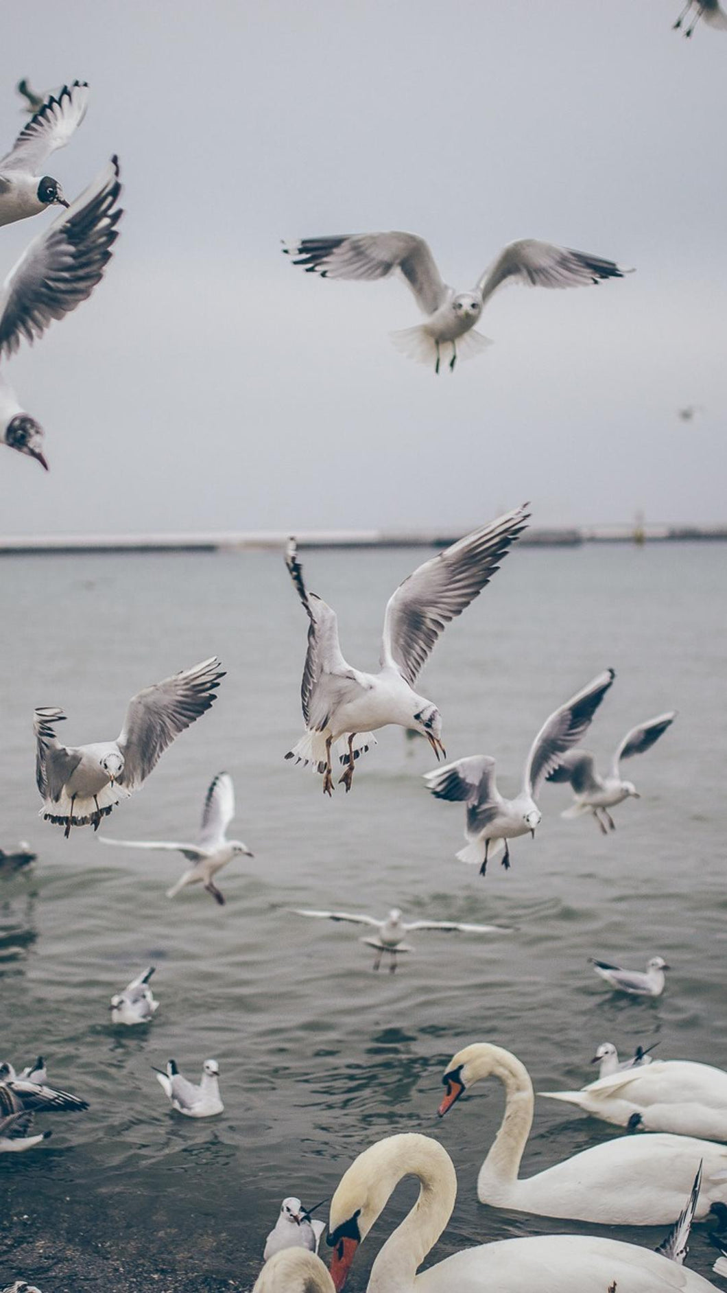 9d7b649d362ea068503d9ad709648664d51d5ecc