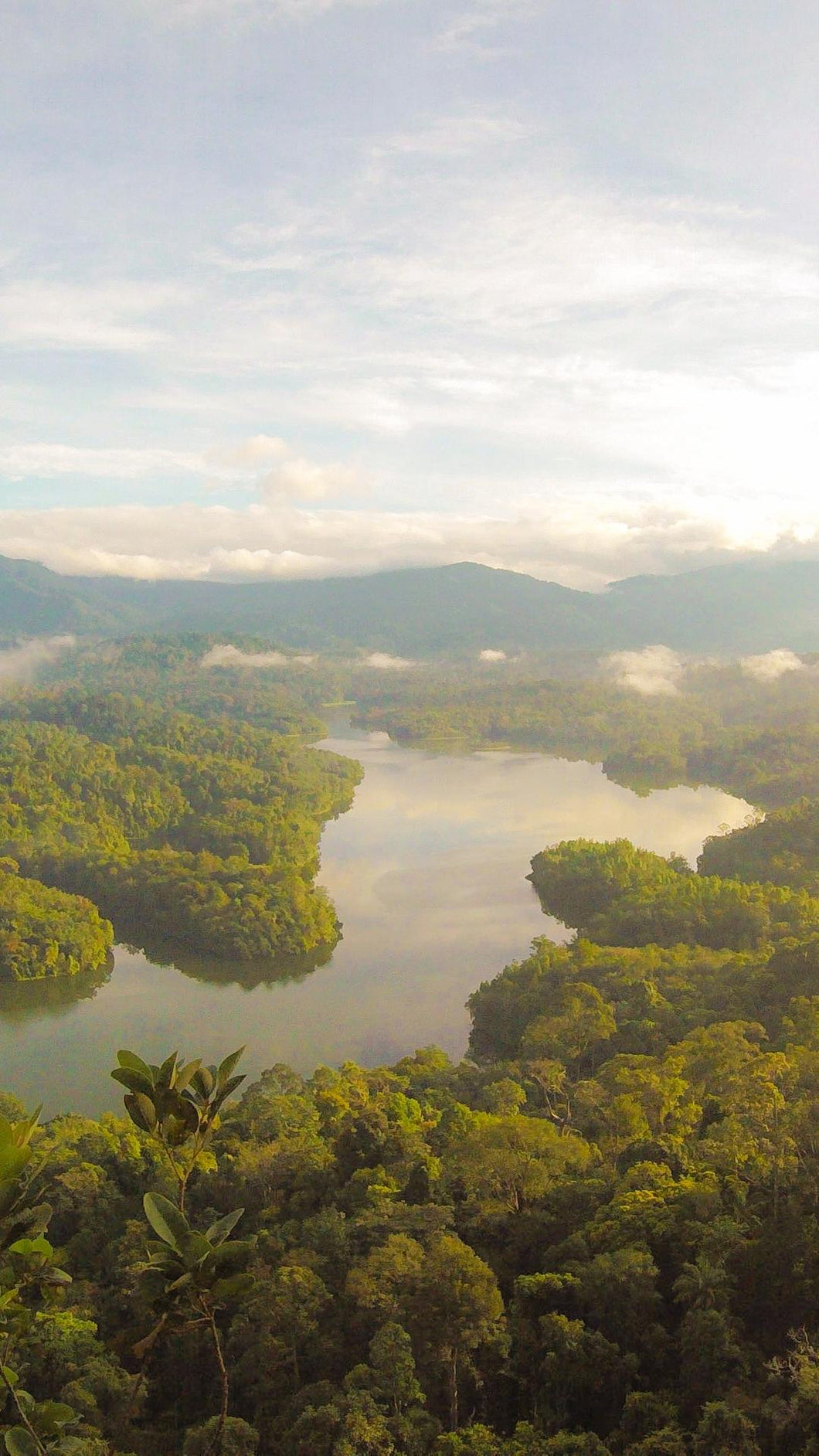 1a1c86ecbf8d978242aa1b989dbffd75a6cca28f