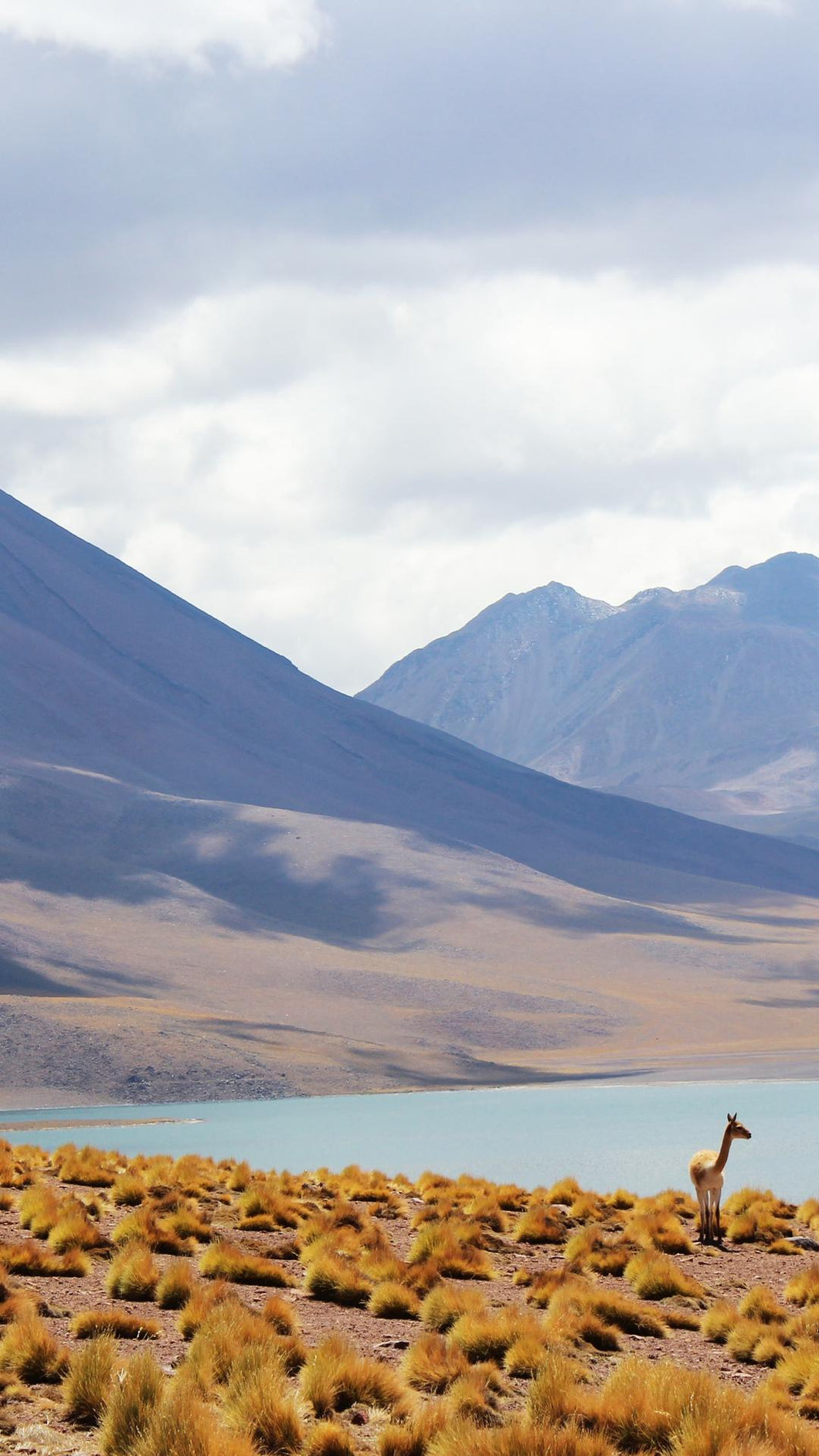 1a864ddc7a9d6dc04f9700d76cdfe7de6b80118b