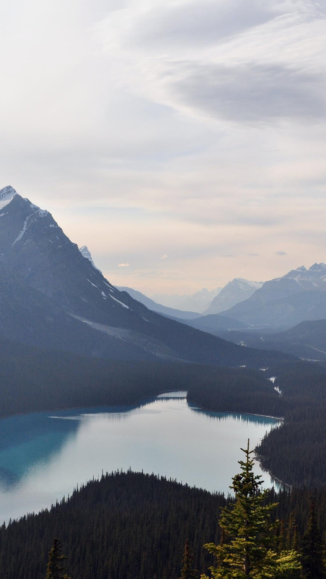 56c1951d41a38c04e1625f32a09978a66fa7501e