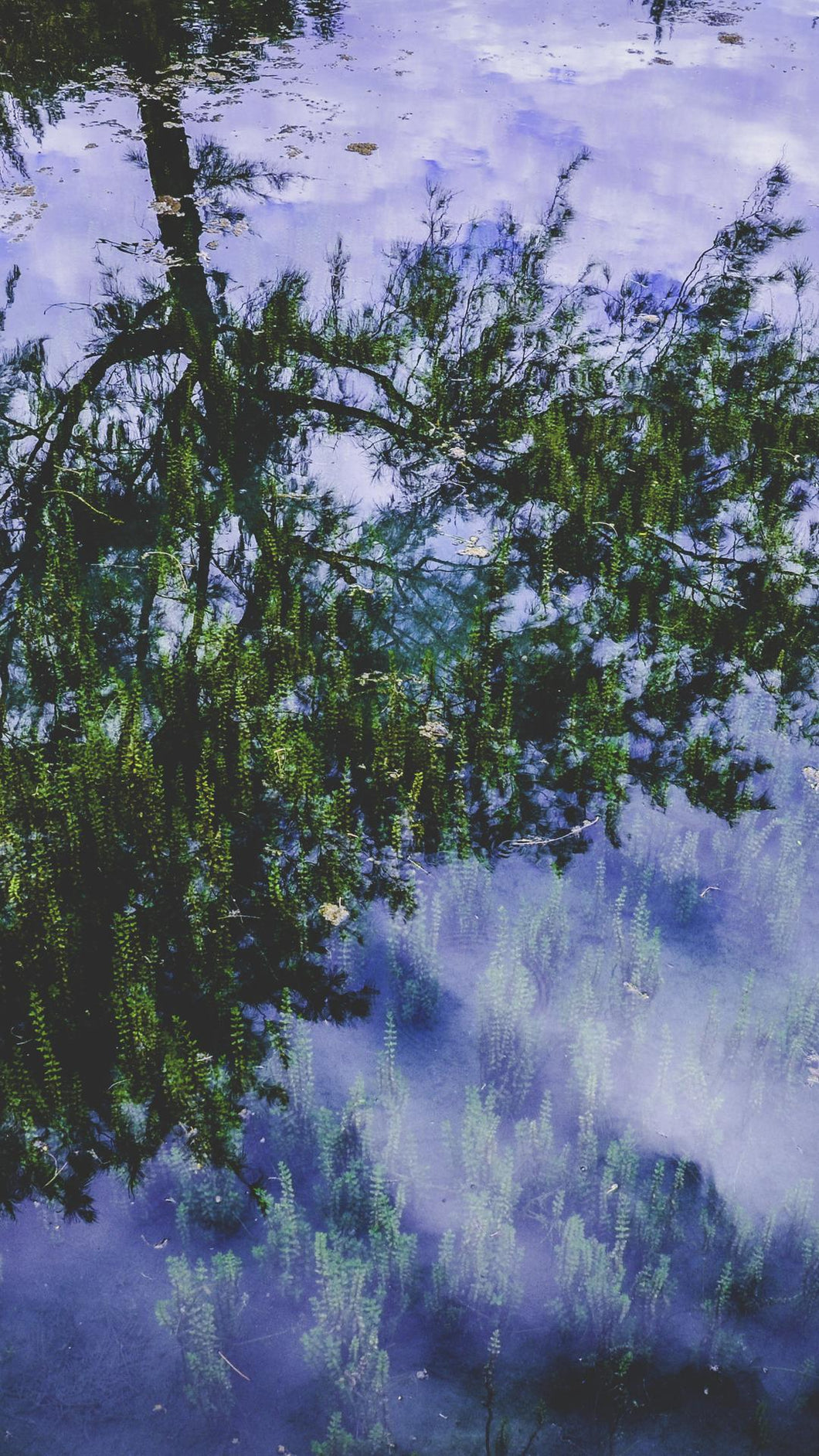 ef002b8b79a2ba87d2c994d57d3caea7f1066a65