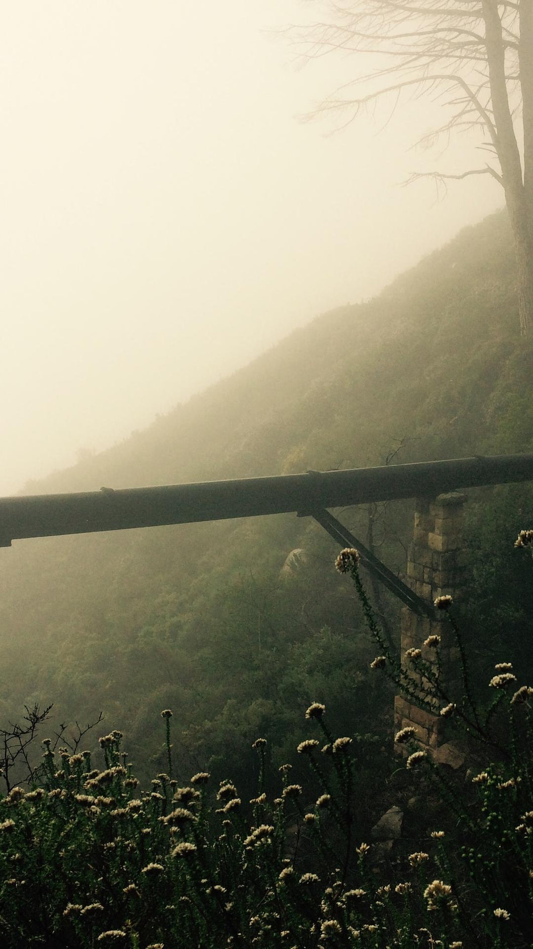 44a754f1fc5000829ff3a95172b8e9ccbf9b571a