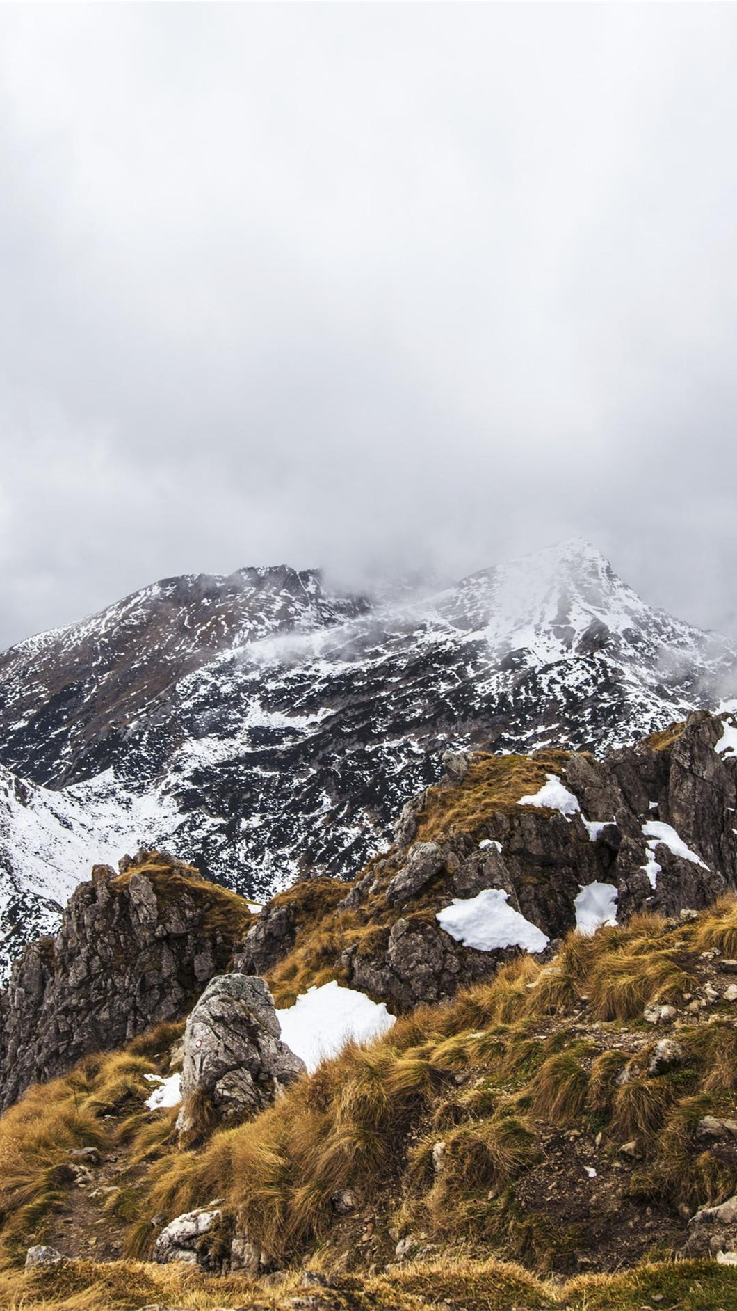 9ebfff57a2e7161ecfbdb36d76b8093c7360fc9d