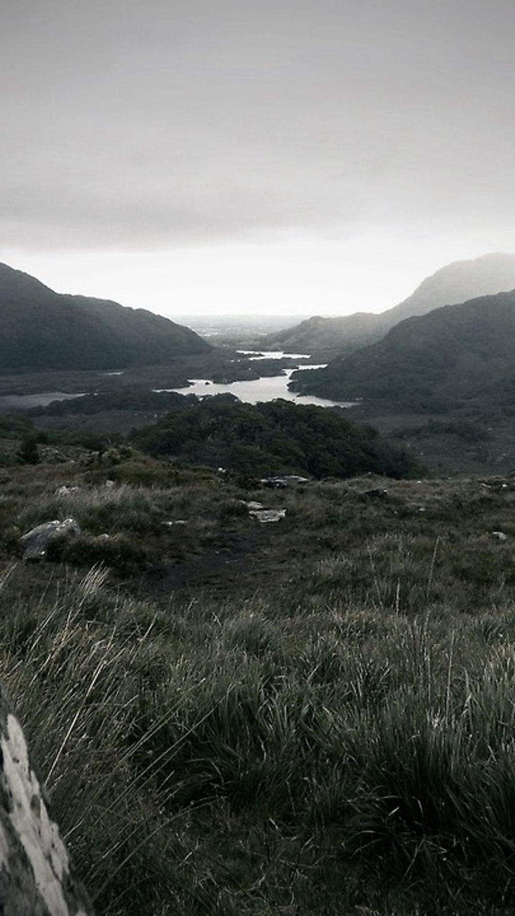 18836ffd8f8d5a73a6e4fdc0fac6b64b31108f04