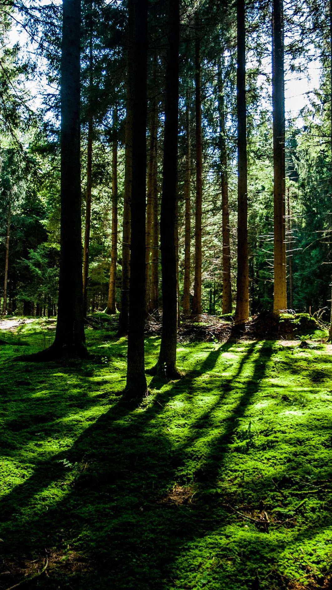 b5d523d2b3a7c7bbeda0052b1c770f7de4953dda